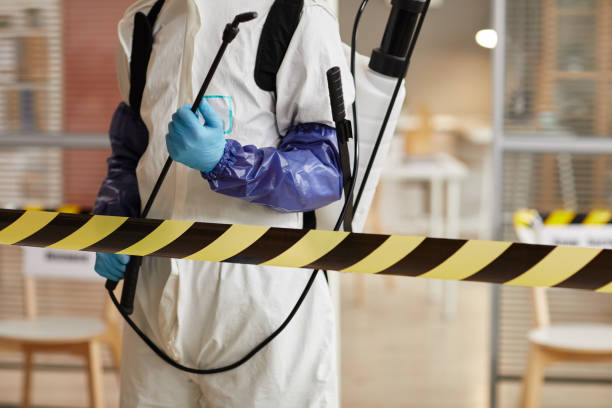 Professional Hoarding Cleanup technician working in Canal Point, FL